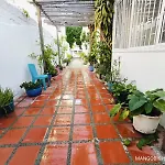 Mango Biche - House