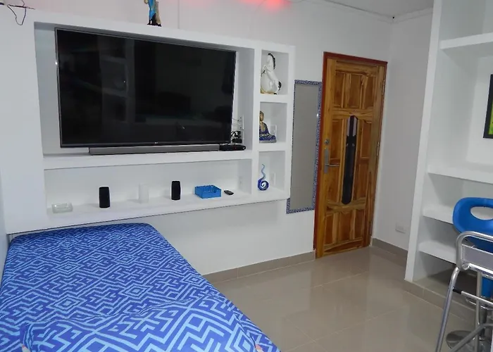 Delfin 207