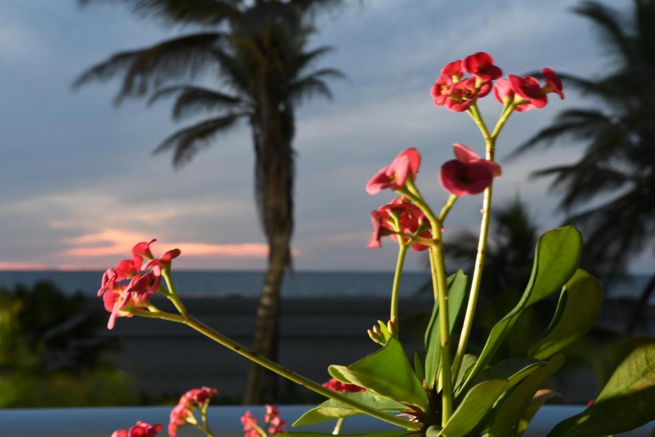 Hermoso Apartamento: Beachfront Comfort With Direct Access Apartment *