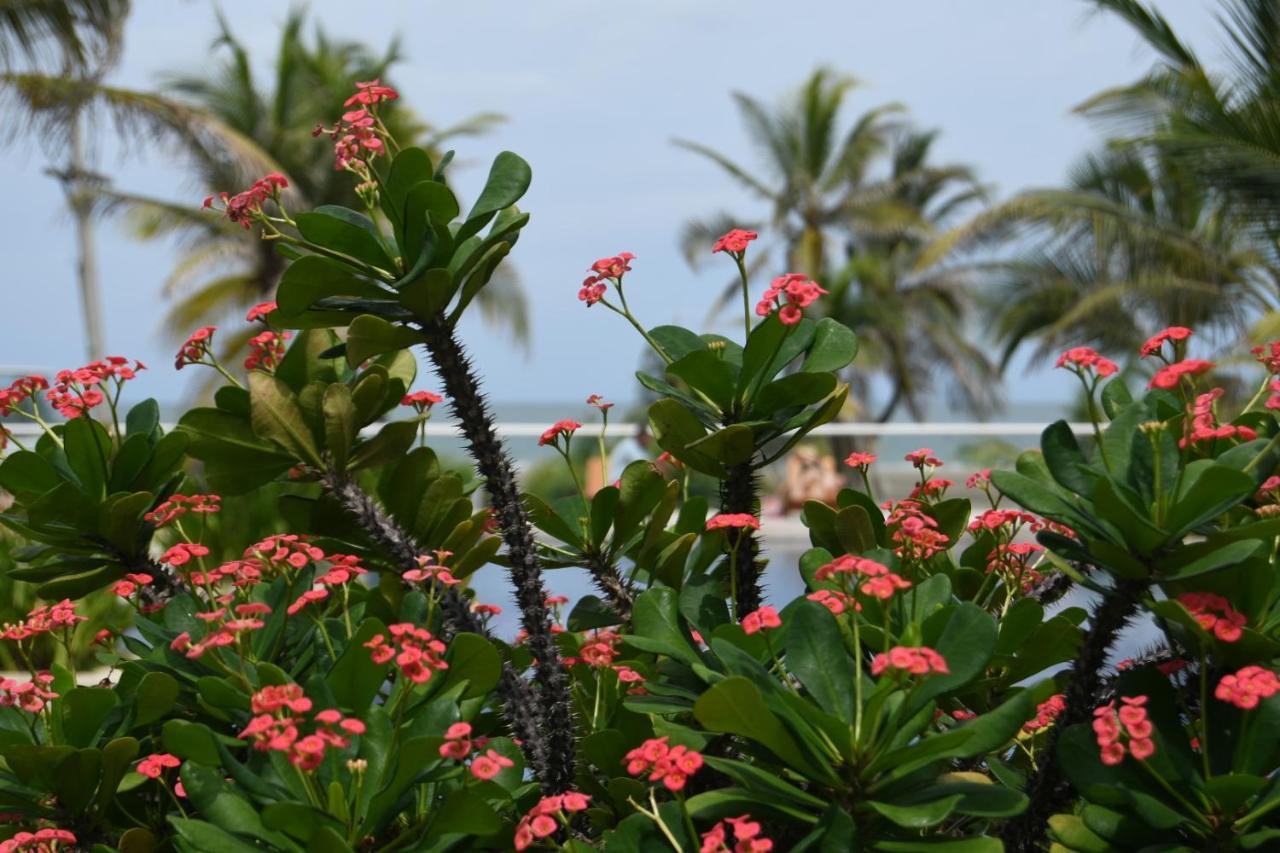 Hermoso Apartamento: Beachfront Comfort With Direct Access *