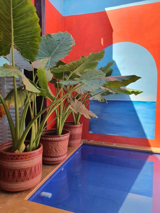 Birds Guest house Cartagena