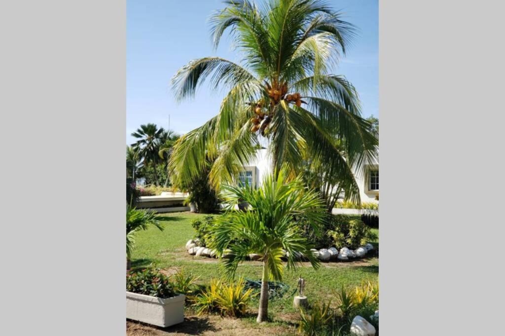 Villa Camatajua Baru House, Casa Con Playa En Isla Baru