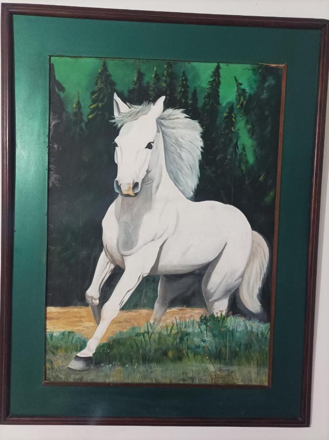 El Caballo Blanco 4-20 *
