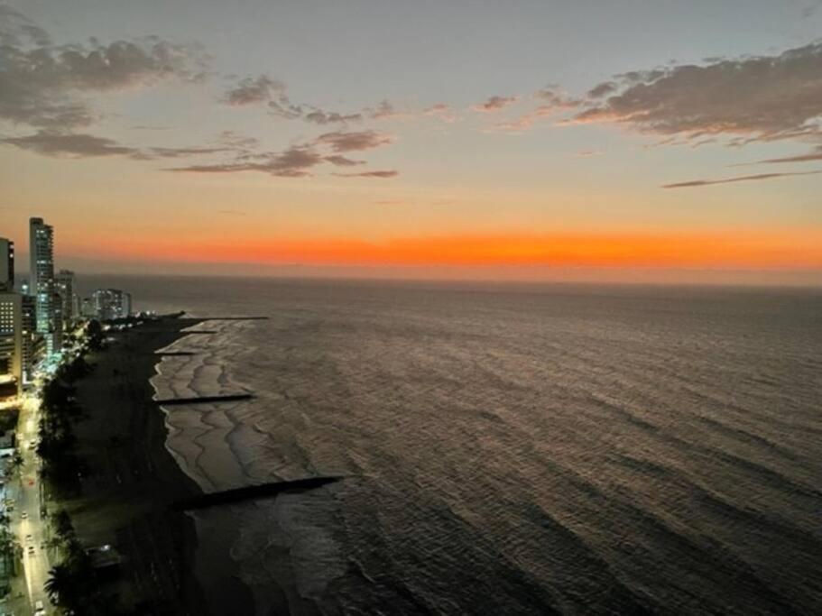 Palmetto2803 Cartagena