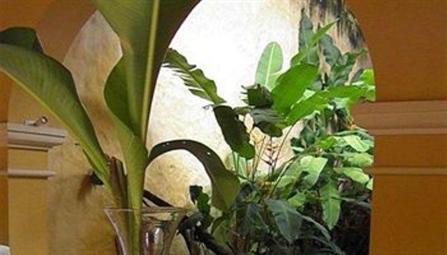 Casa Boutique Hortensia Cartagena