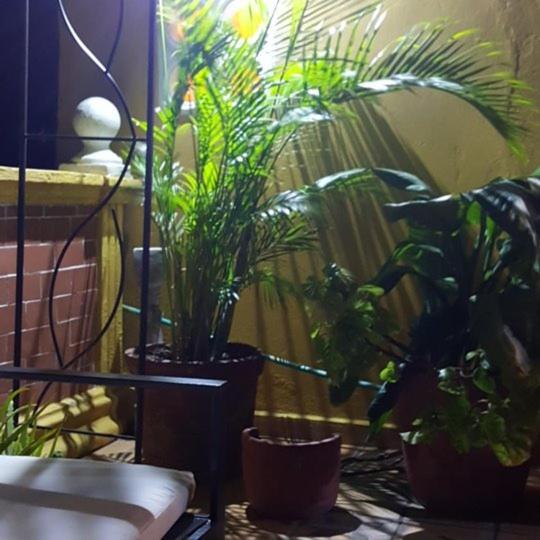 Habitación en casa particular Casa Fanny *