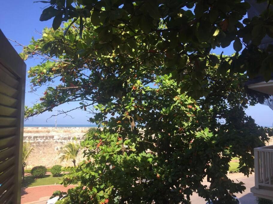 Apartamento Specialplace For Family & Friends Sea View Rooftop *