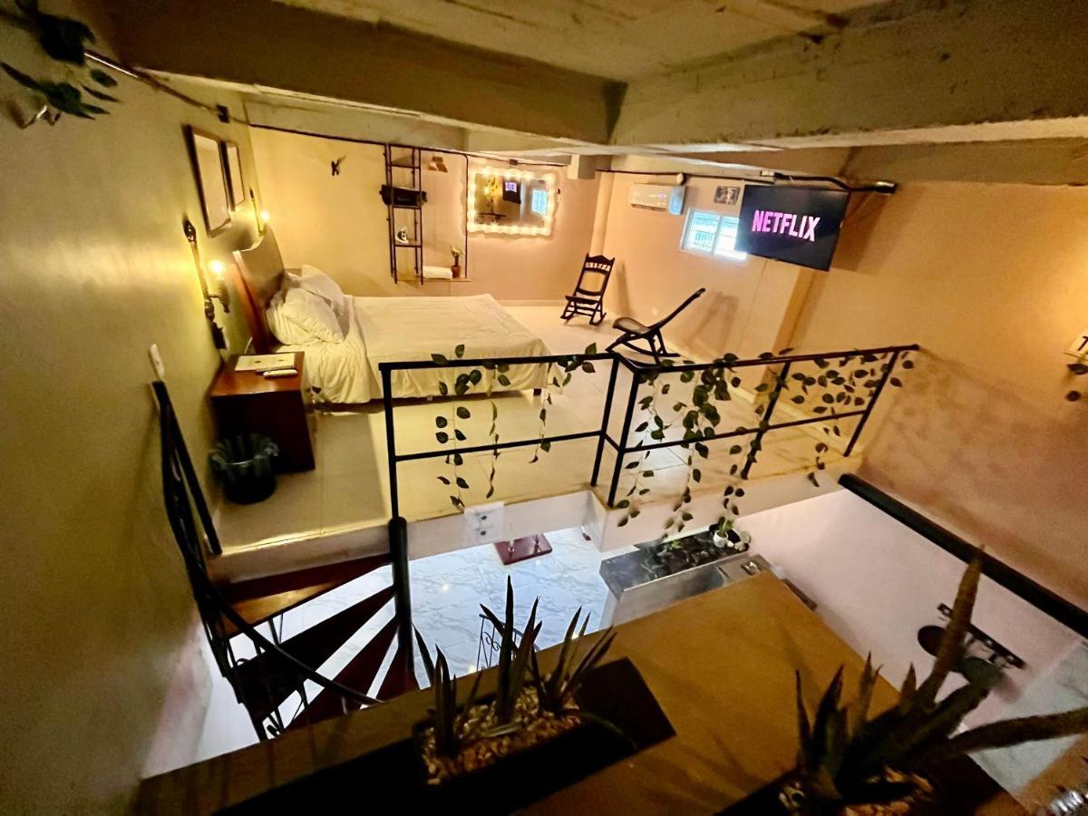 Loft Entero Cerca Al Centro Histórico De Apartamento *