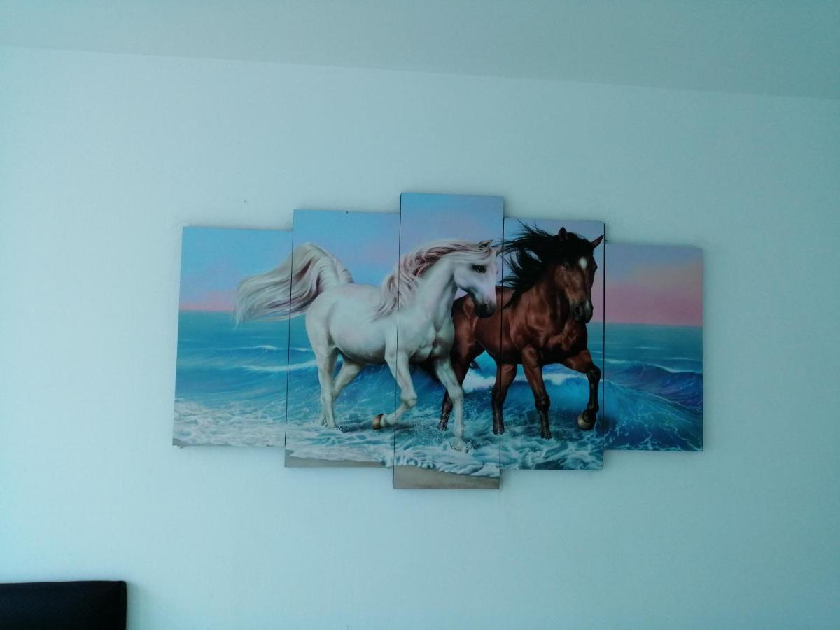 Apartamento Sotavento Cartagena
