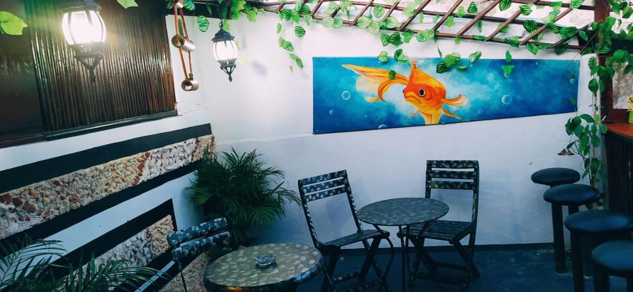 New Casa Dora *