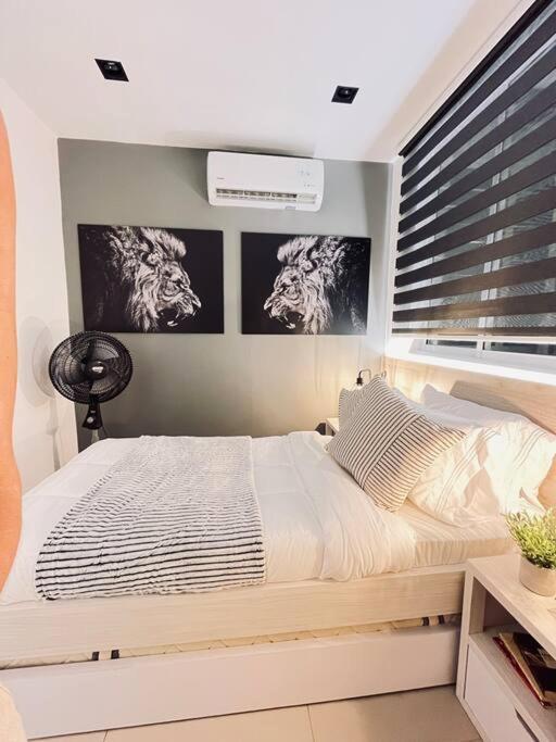Espanola 2b Dream 2bed 1ba
