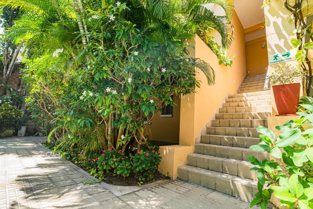 Apartment Awesome 2br In Paradisiac