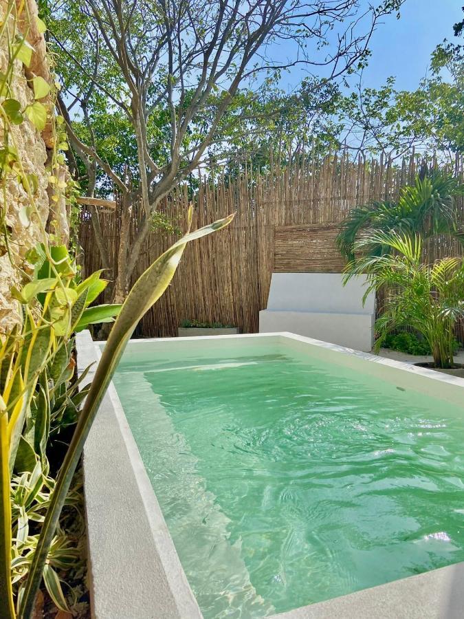 Casa De Playa Kommox