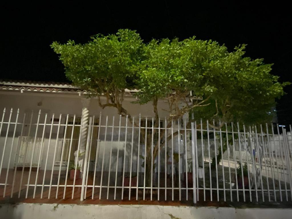 Shanty Guest house *