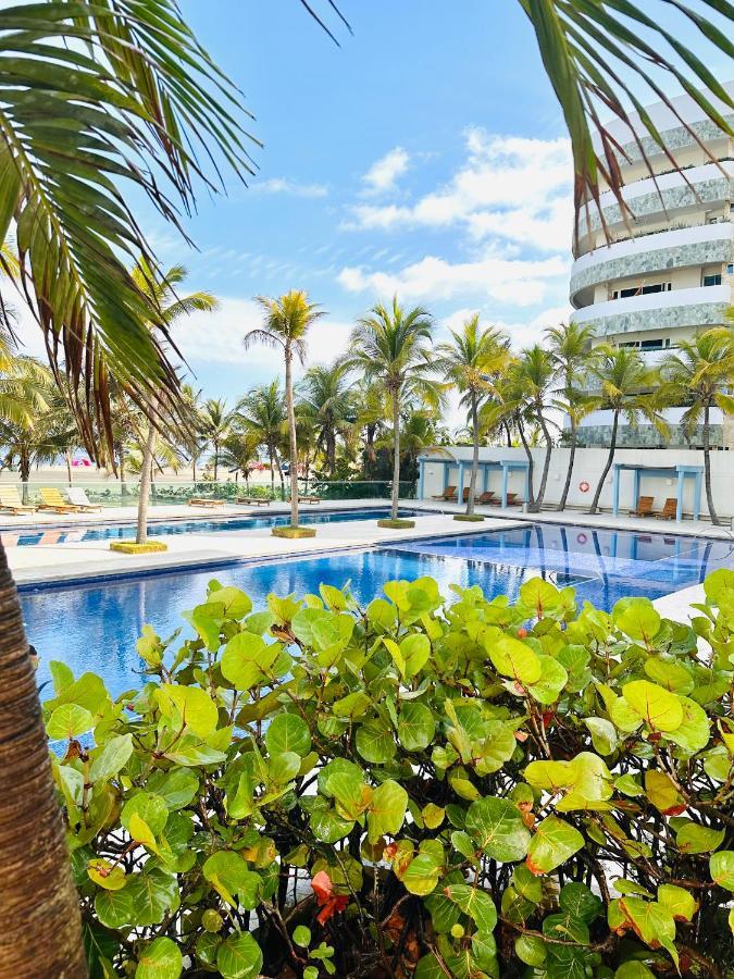 Tolusa Apto 409 Edf Morros 922 Apartamento *