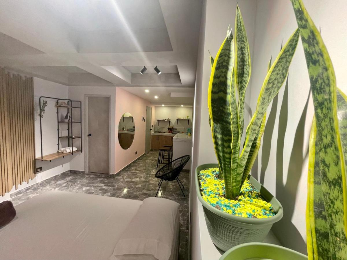 Awesome Brand New Studio Near Old Town * Cartagena