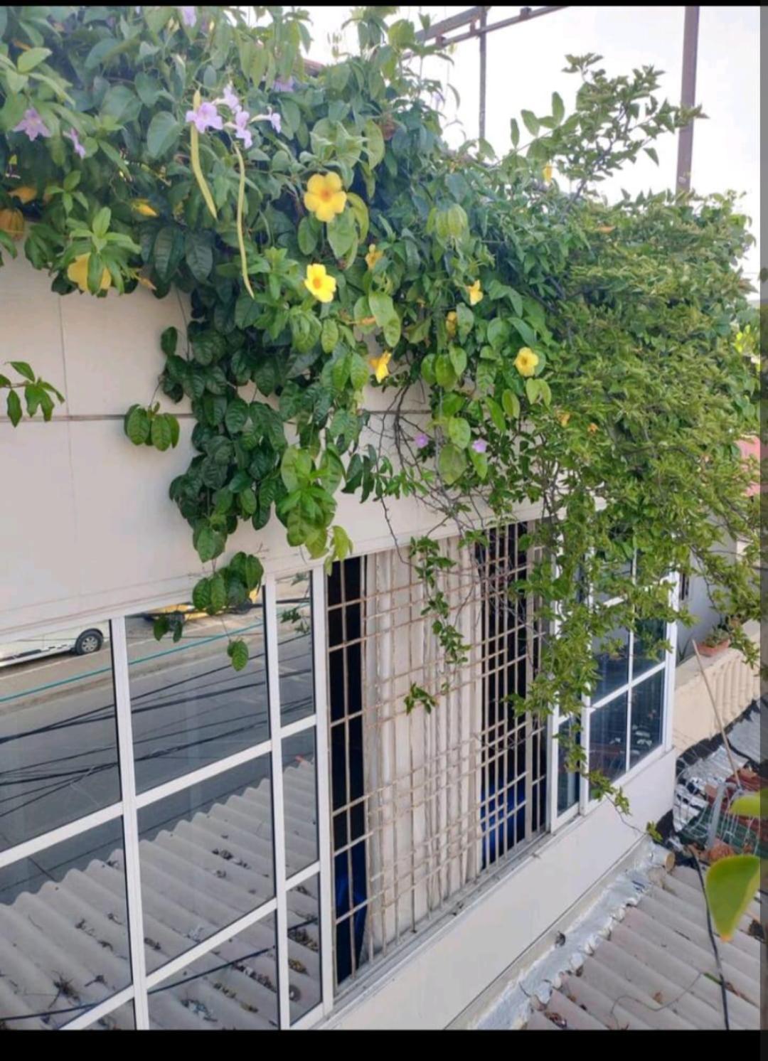 Apartamento Casa Castillo San Felipe *