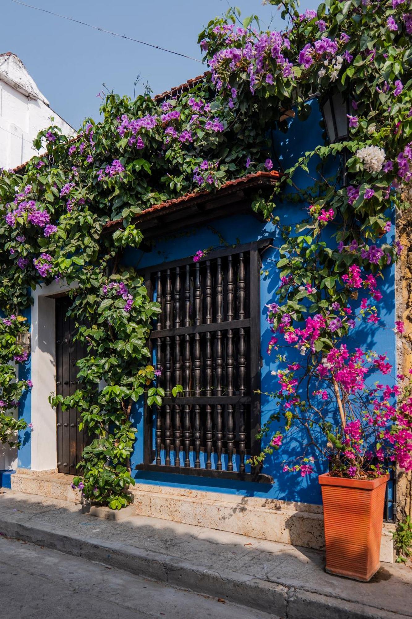 Casa Familiar - María De Las Palmas -getsemani