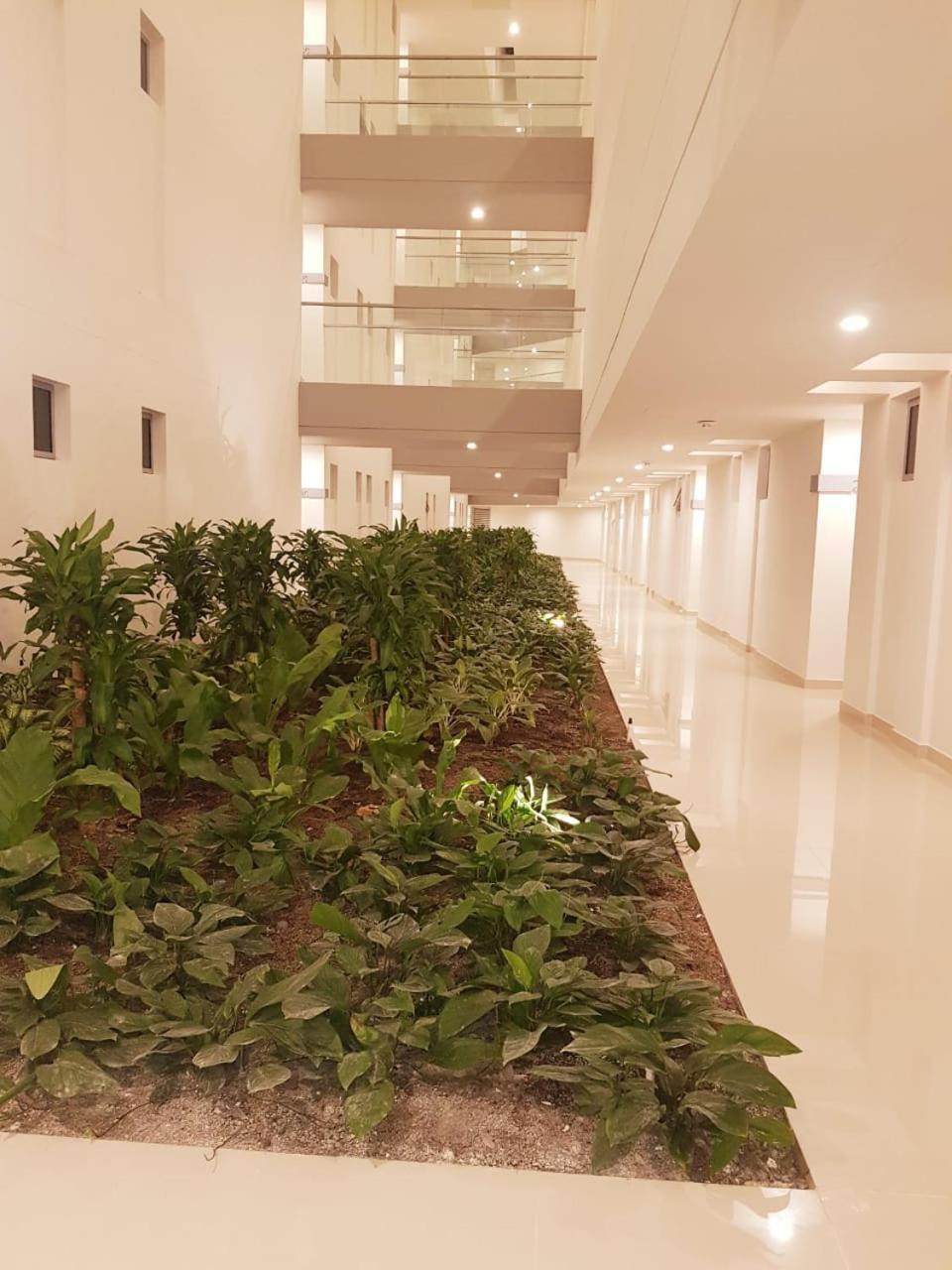 Hermoso En Cartagena-morros Eco- Vista Al Mar- Salida Directa A La Playa Apartamento Cartagena