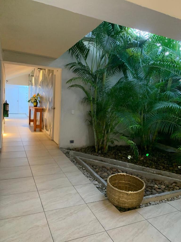 Boutique Juna 3*