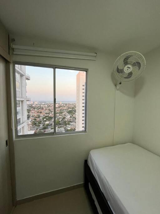 Paz Y En Apartamento