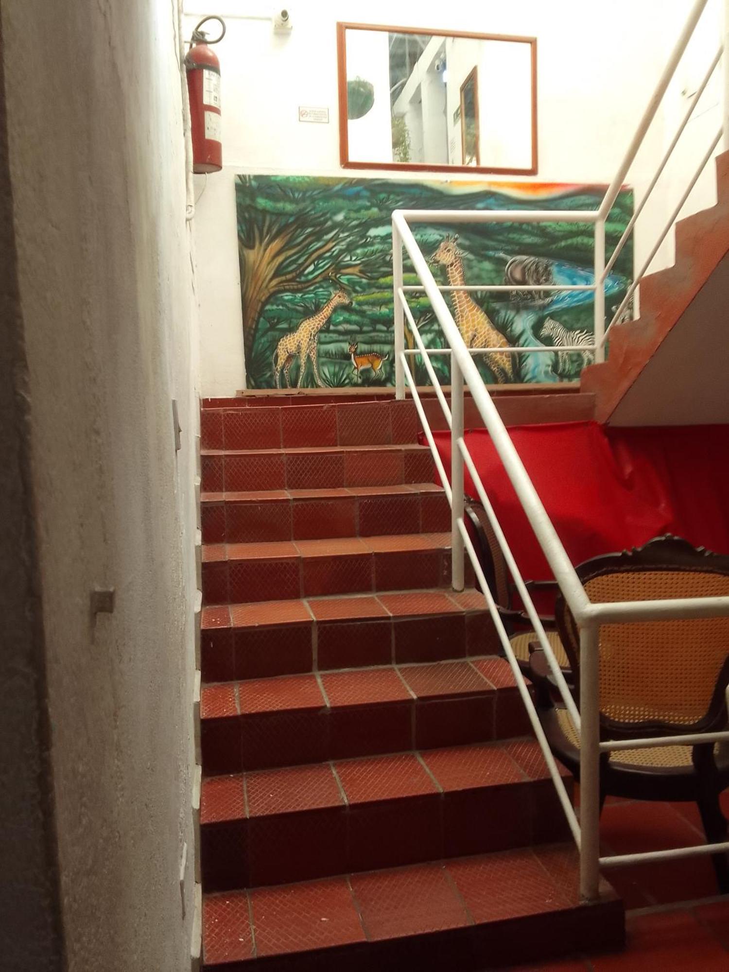 Rooftop Hostal Crisanto Luque Pensión *