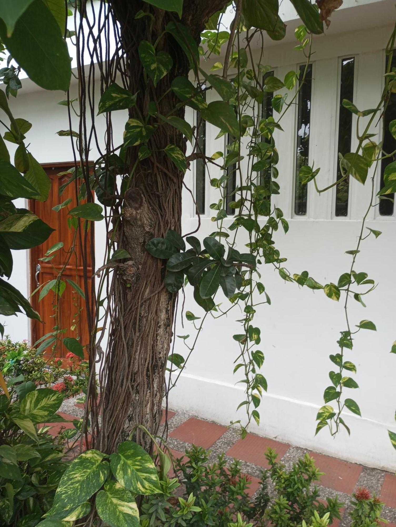 Casa Garcia