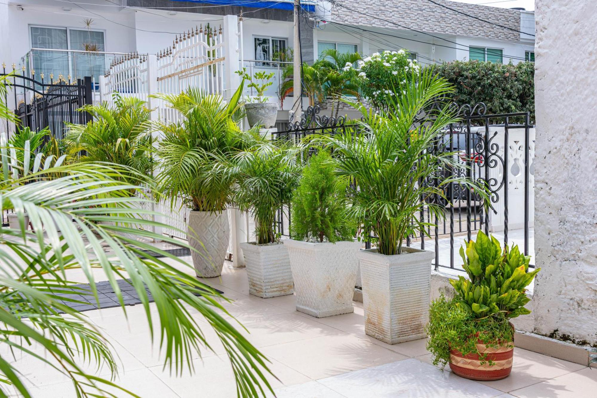 Oresca Guest house Cartagena