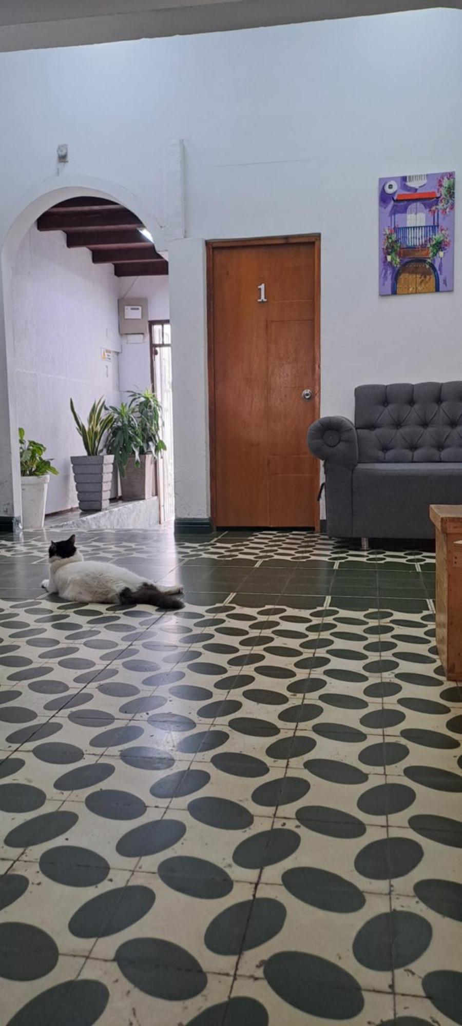 Pensión Casa Lara