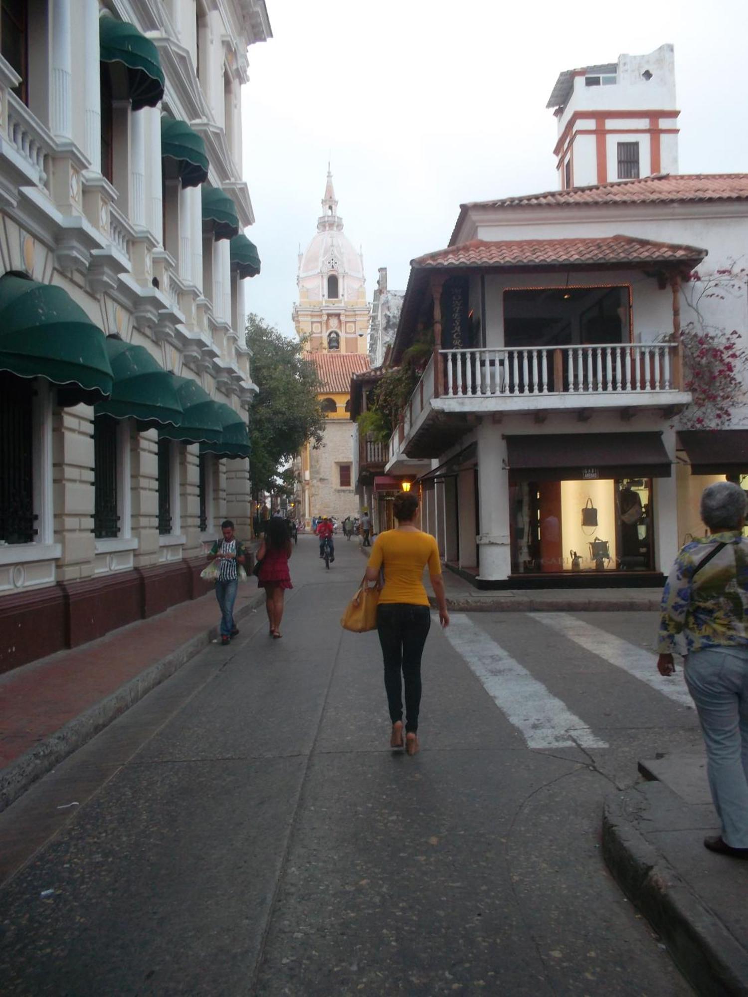 Delfines Del Caribe Cartagena