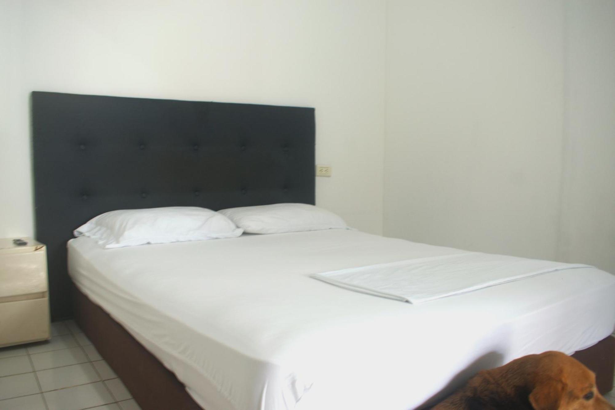 Hosting And Travel Services 420 * Cartagena