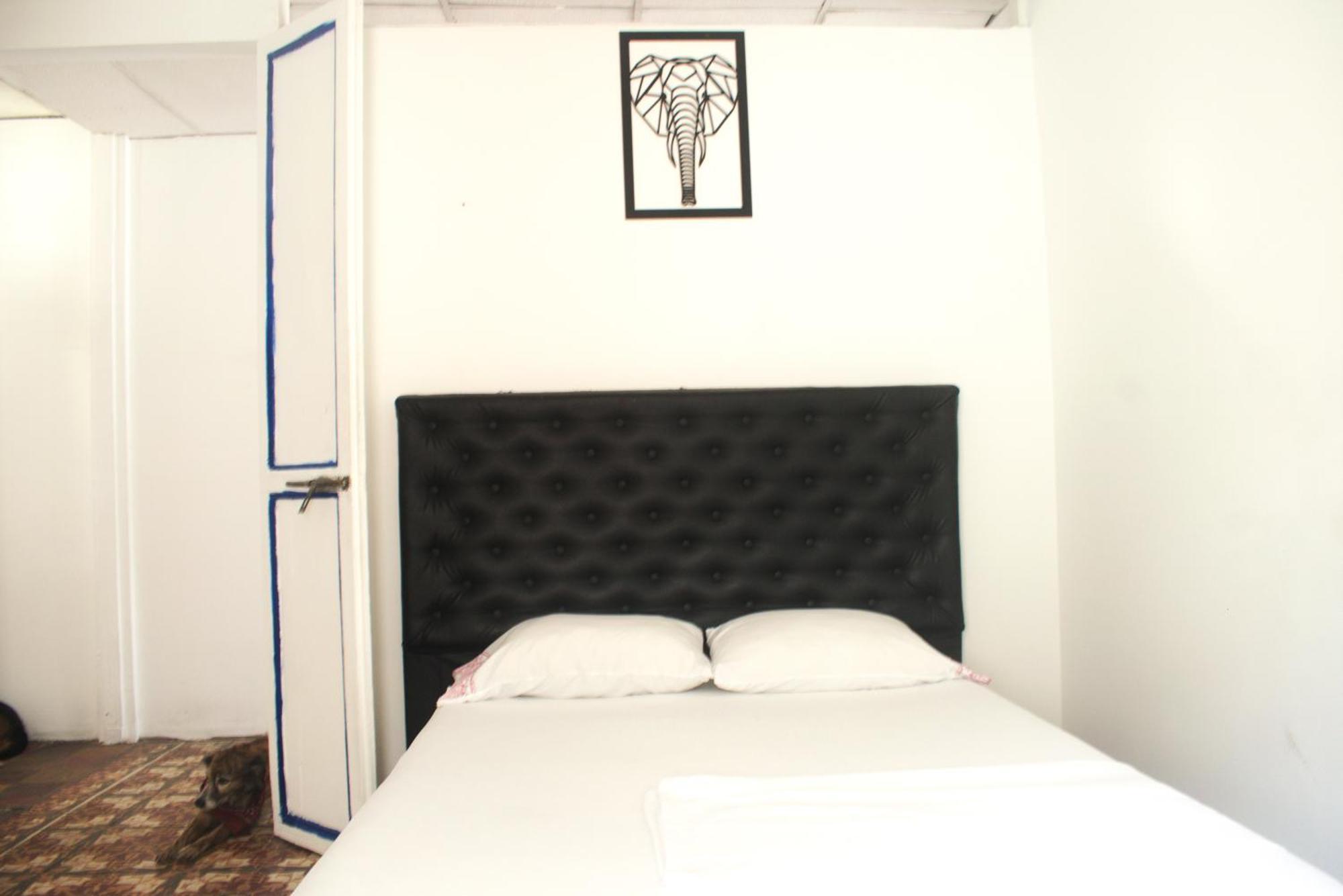Hosting And Travel Services 420