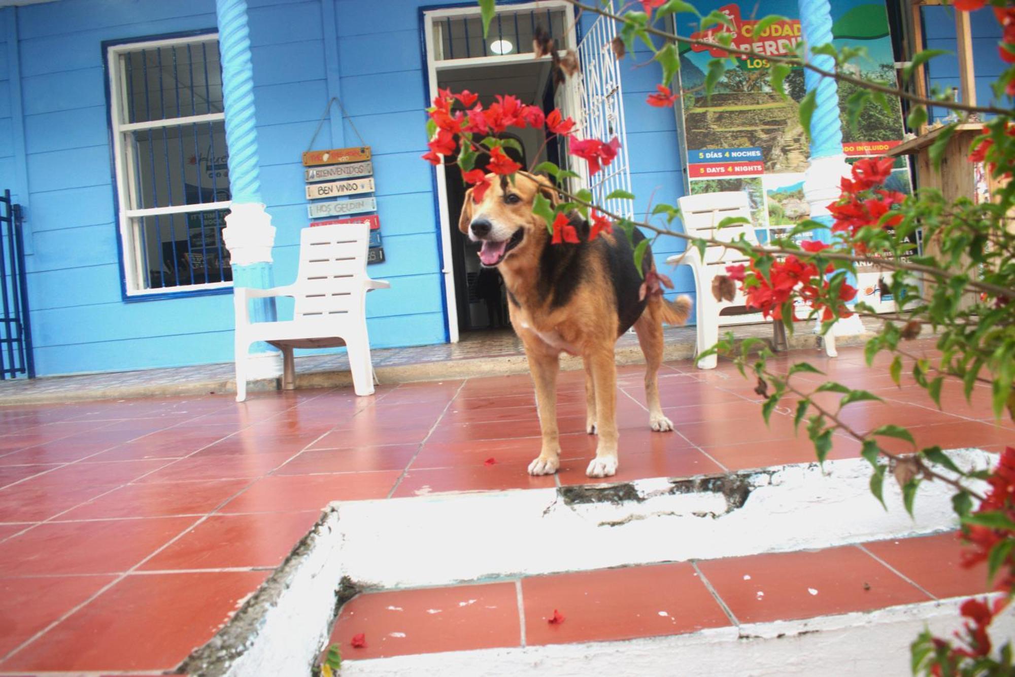 Hosting And Travel Services 420 Cartagena