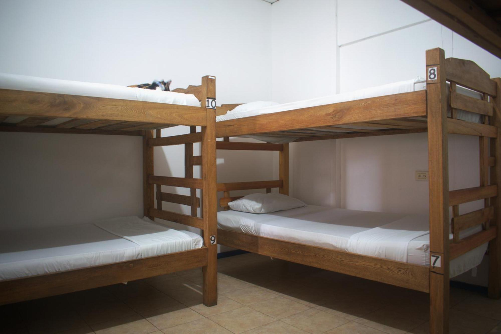 Hosting And Travel Services 420 * Cartagena