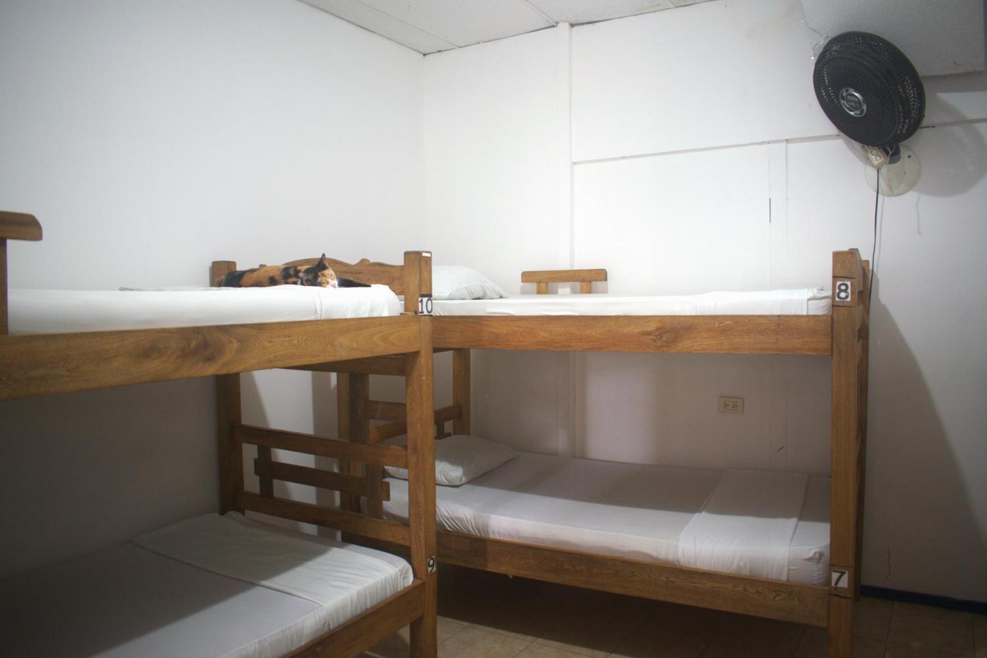 Hosting And Travel Services 420