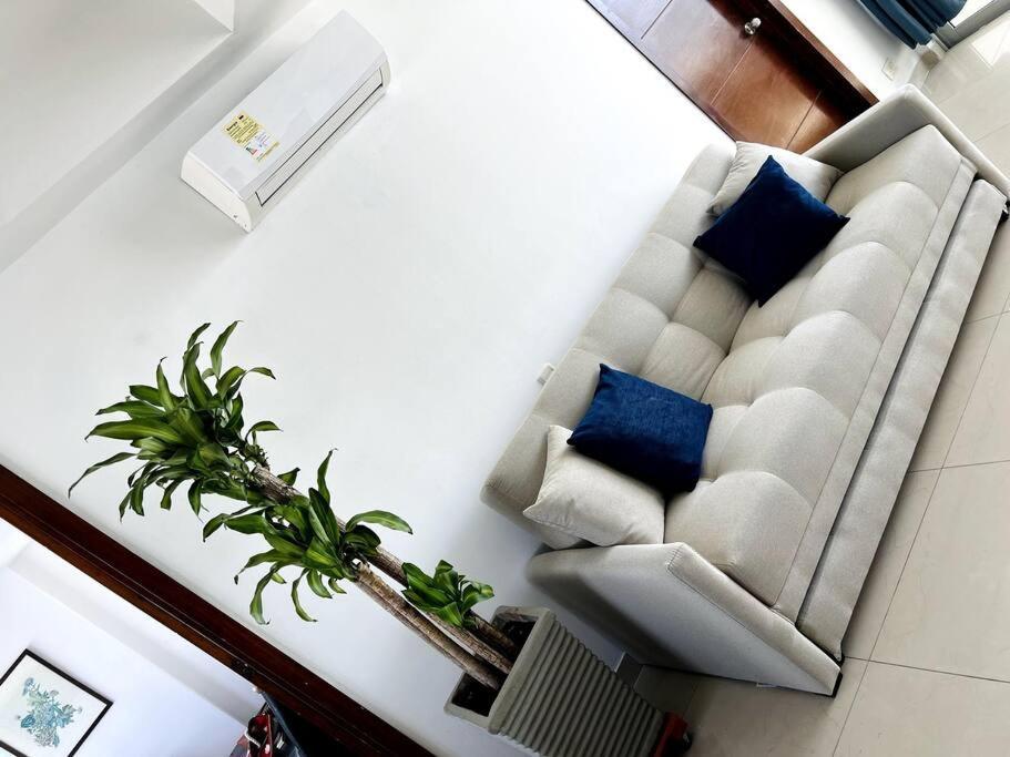 Apartamento Bocagrande Y Marbella Frente Al Mar,piscina