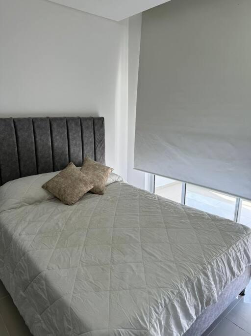 Apartamento Apto Playa En *