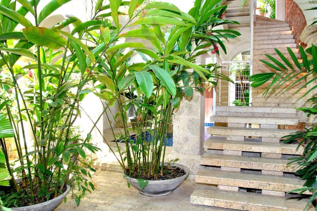 Charming 1br In The Heart Of Cartagena's Old Apartamento