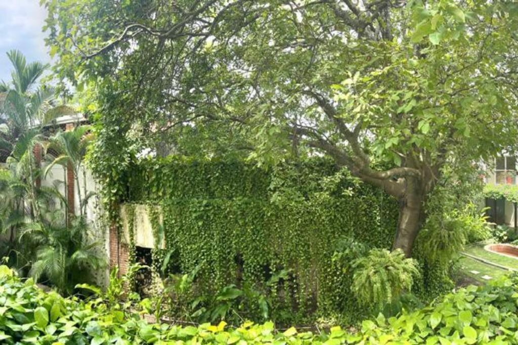 Modern Comfort - Spacious 2br In Walled Cartagena