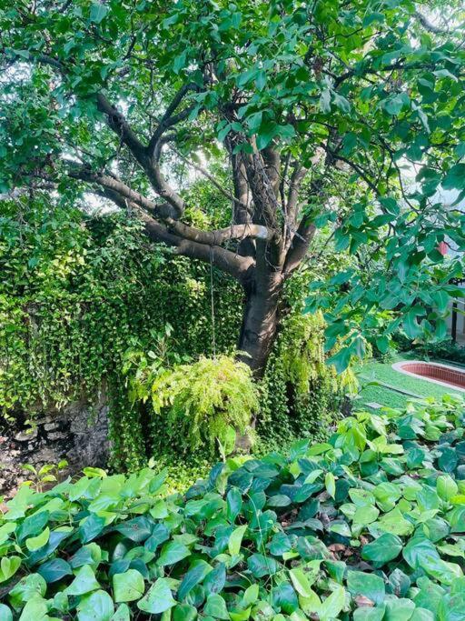 Modern Comfort - Spacious 2br In Walled Apartamento