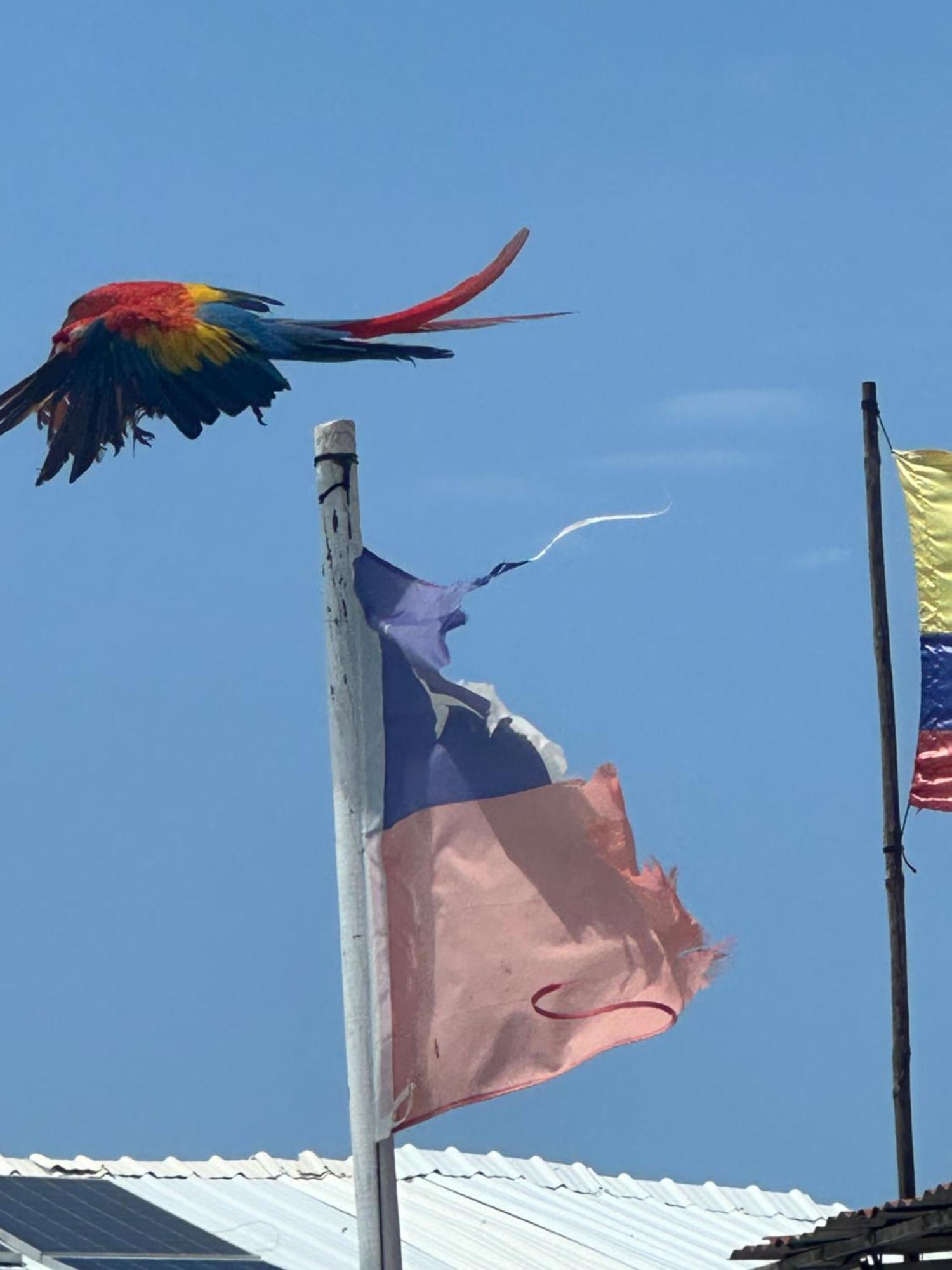 Aparta Fantastique Cerca Al Aeropuerto De Apartamento Cartagena