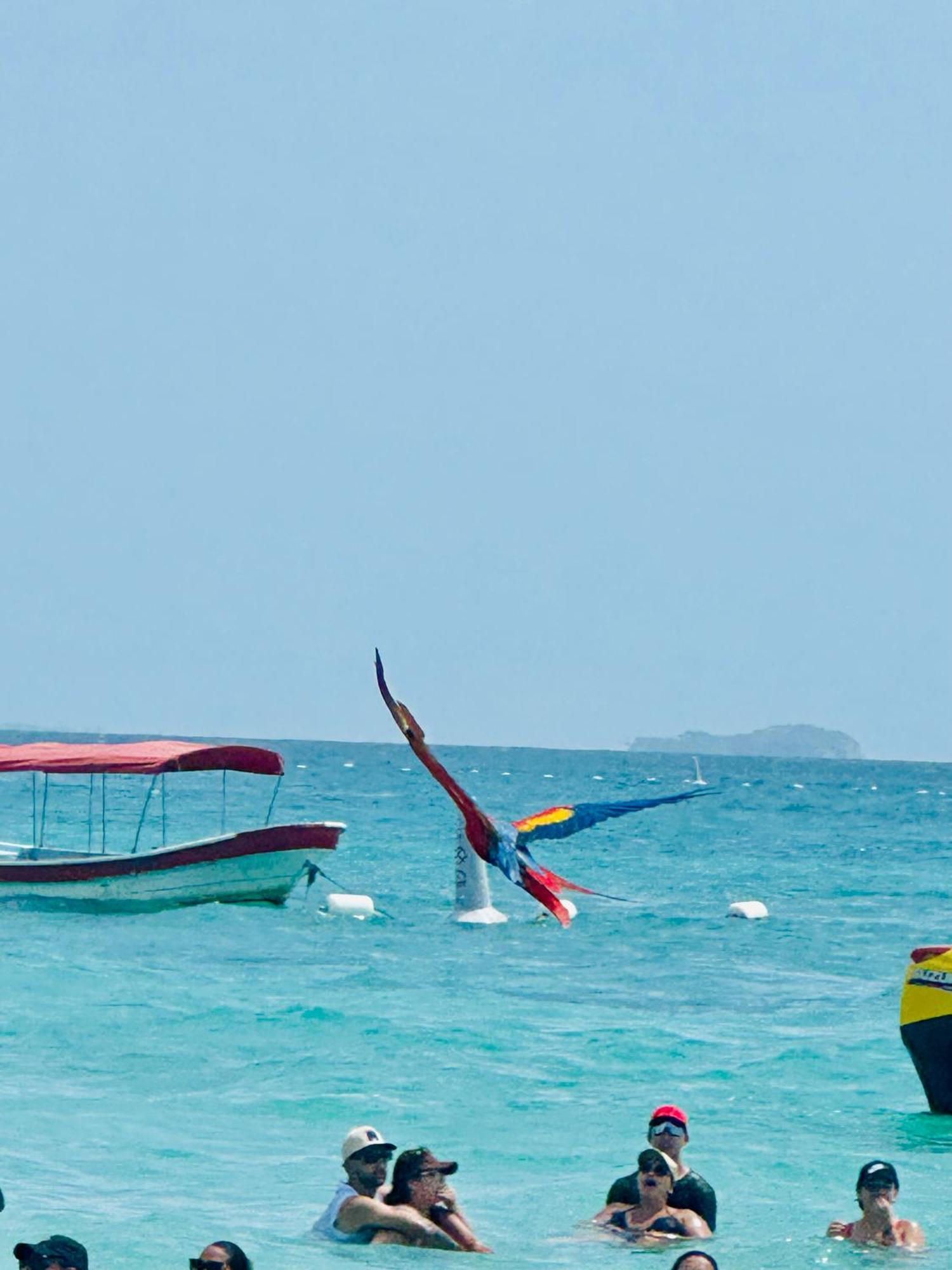 Aparta Fastatique Cartagena