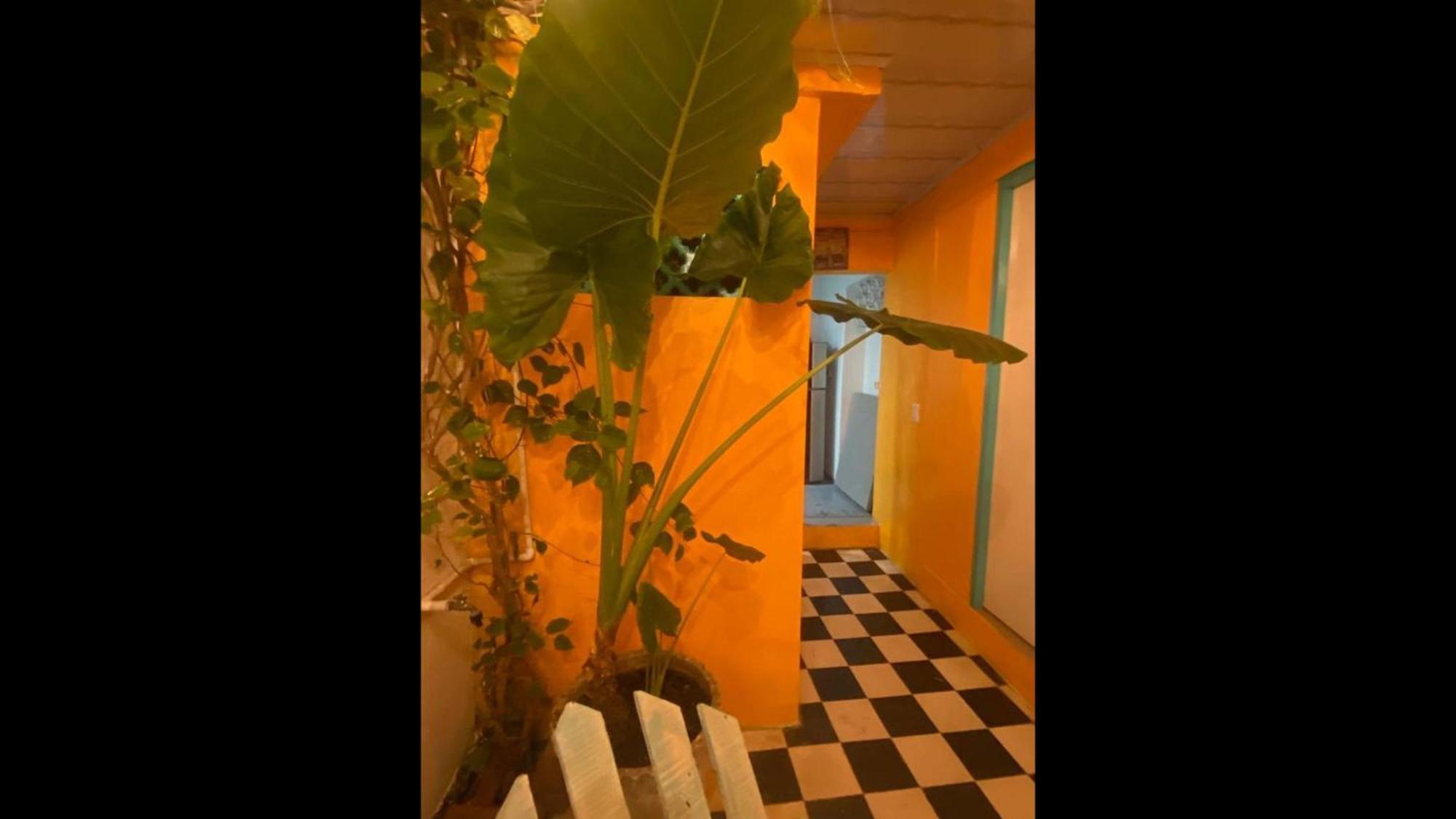 Сasa de vacaciones 4cr-1m 4 Bedroom House In Getsemani With Air Conditioning And Wifi Cartagena