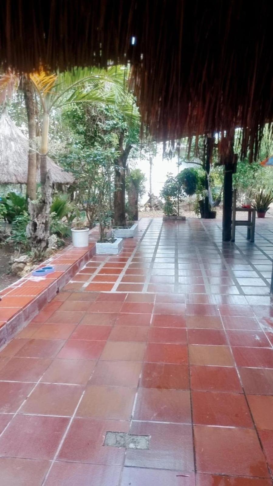 Pensión El Refugio Del Tiburon Cartagena