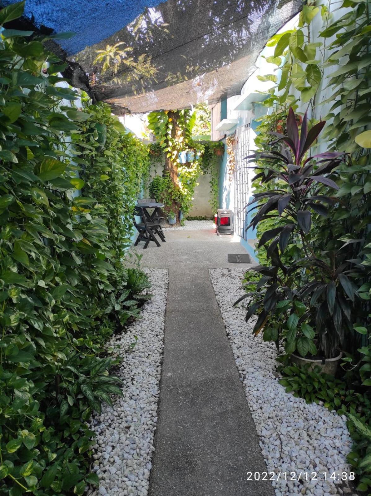 La Casa Azul Homestay *