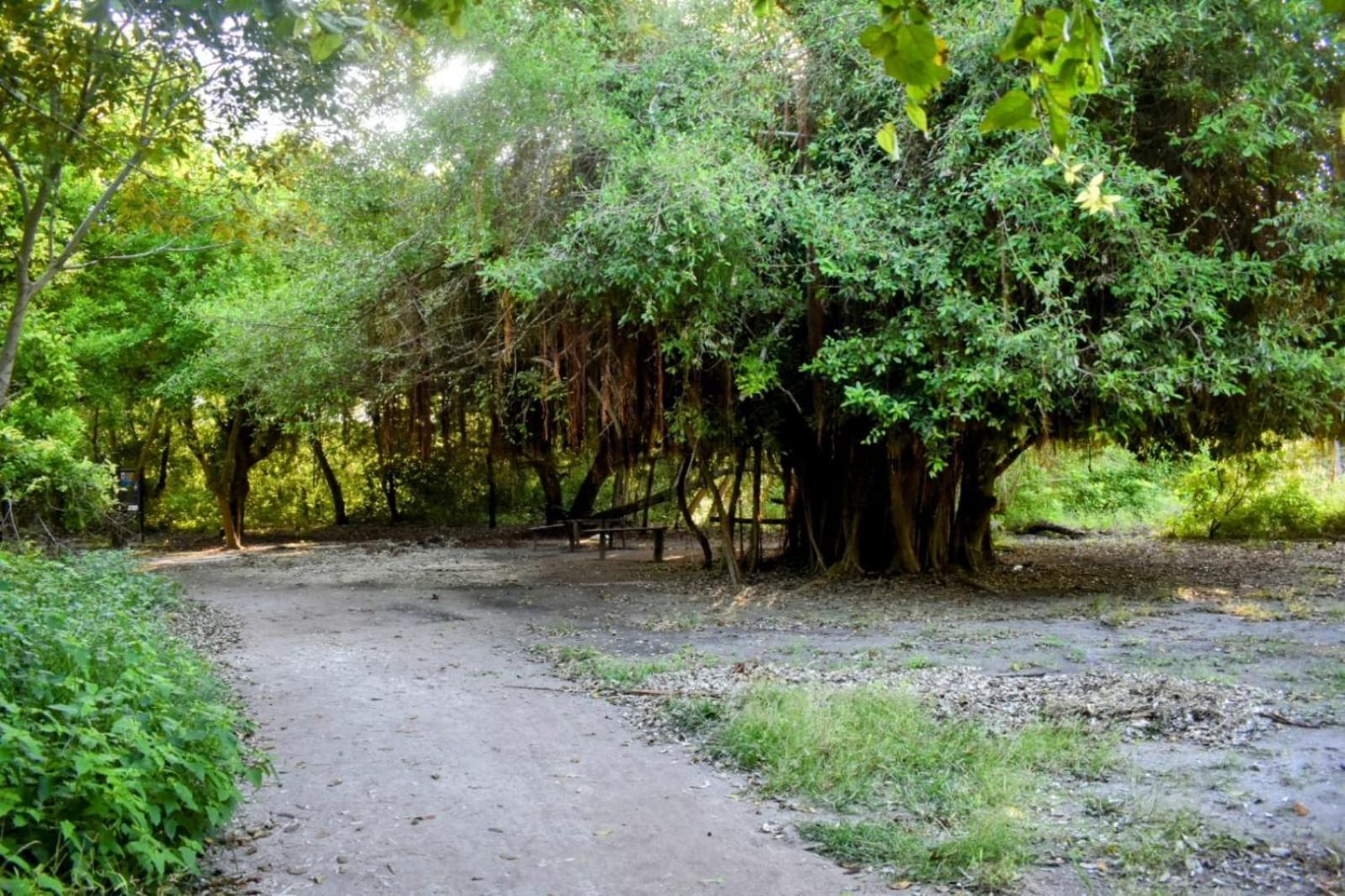 Casa rural Isla Grande Aventureros *
