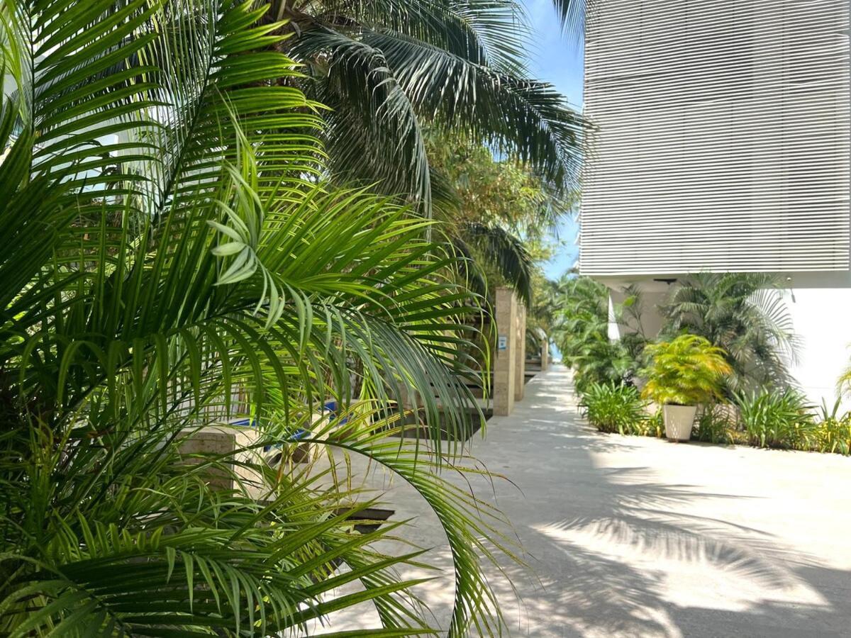 Apartamento Luxury, Y Exclusivo1 Linea Playa Privada