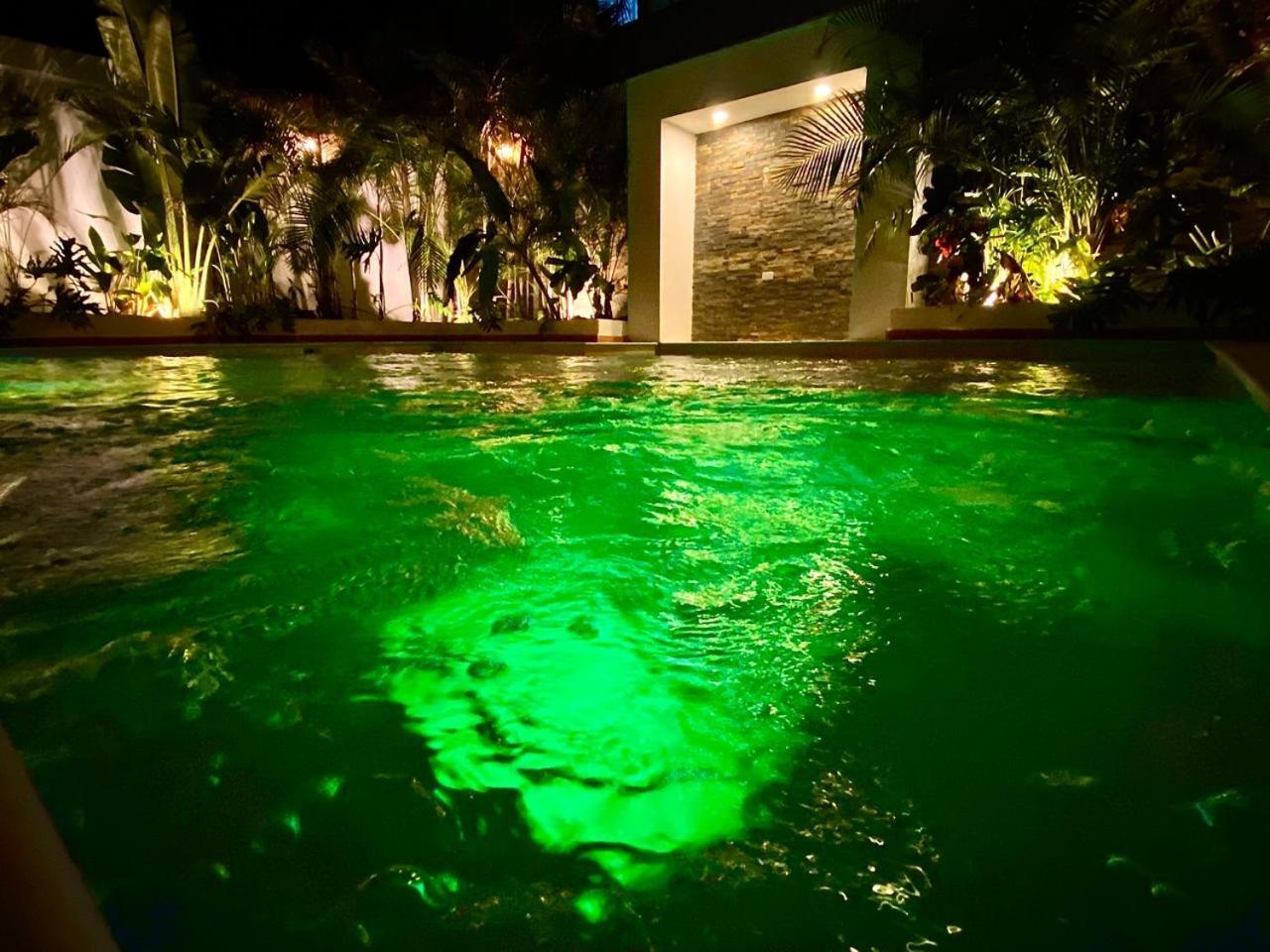 Casa De La Cuarta Guayacan Blue