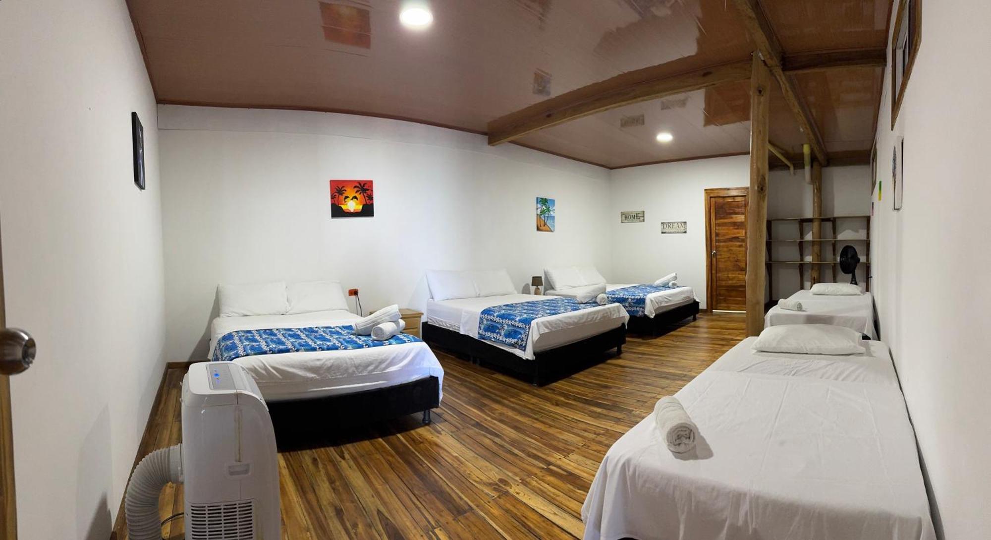 Coral Azul 3*