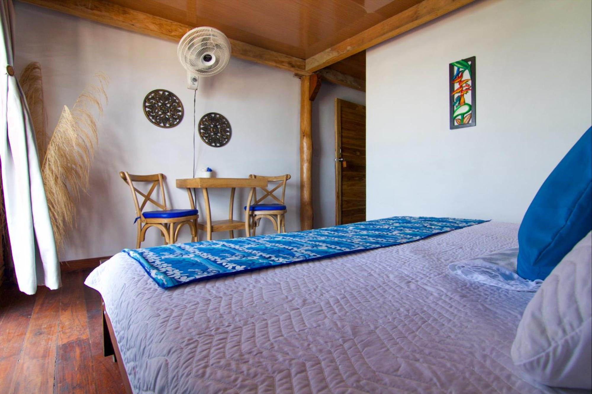 Coral Azul 3*